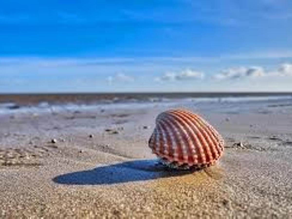 Pass The Keys Fabulous Beach Front Holiday Location Lydd Zewnętrze zdjęcie